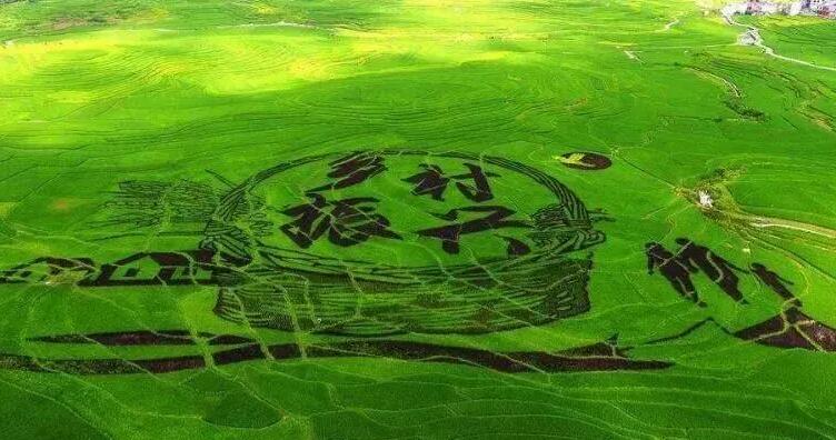 QQ截圖20240103143720.jpg