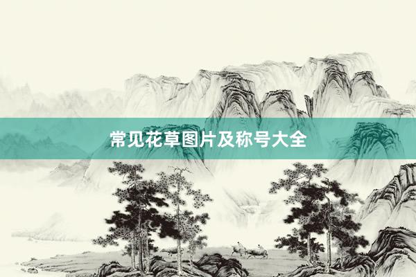 常见花草图片及称号大全