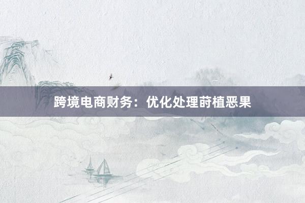 跨境电商财务：优化处理莳植恶果