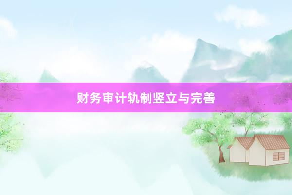 财务审计轨制竖立与完善